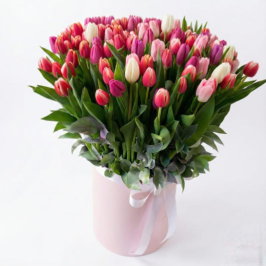 Tulip Dreamscape