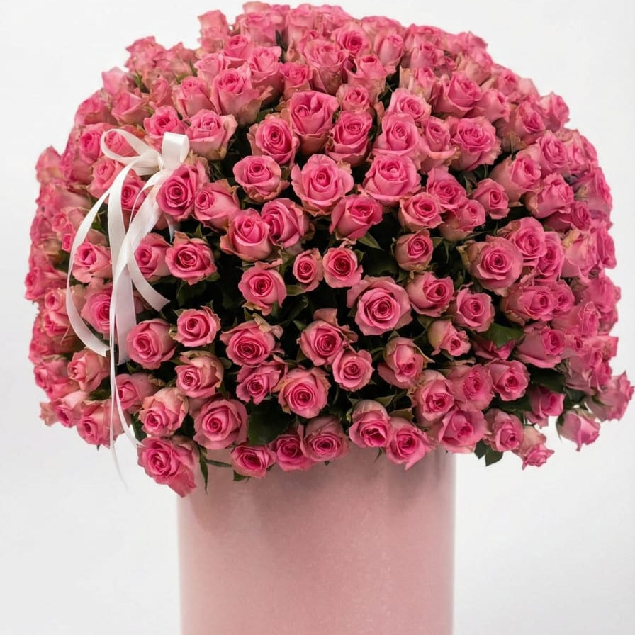 Endless Rose Symphony