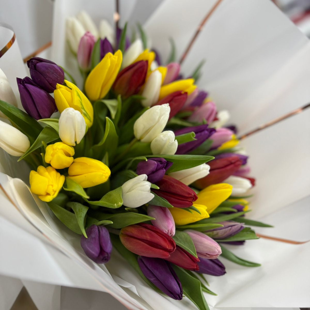 Tulip Symphony